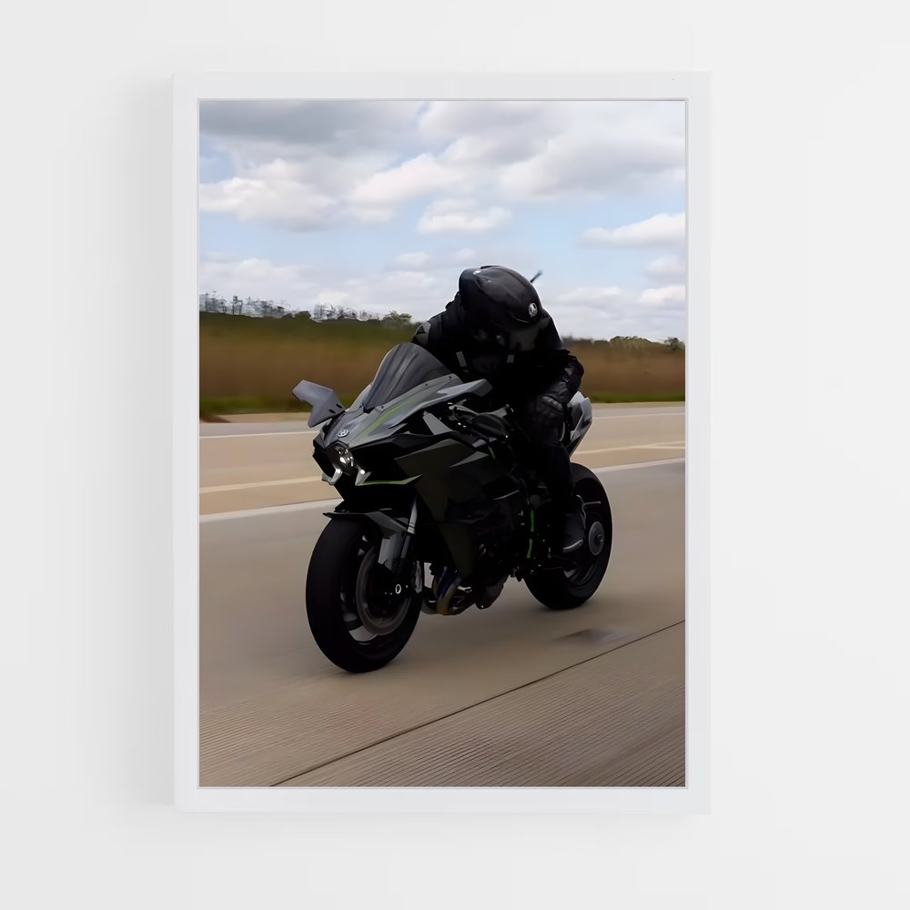 Poster La Route des Ninjas (vue 3)
